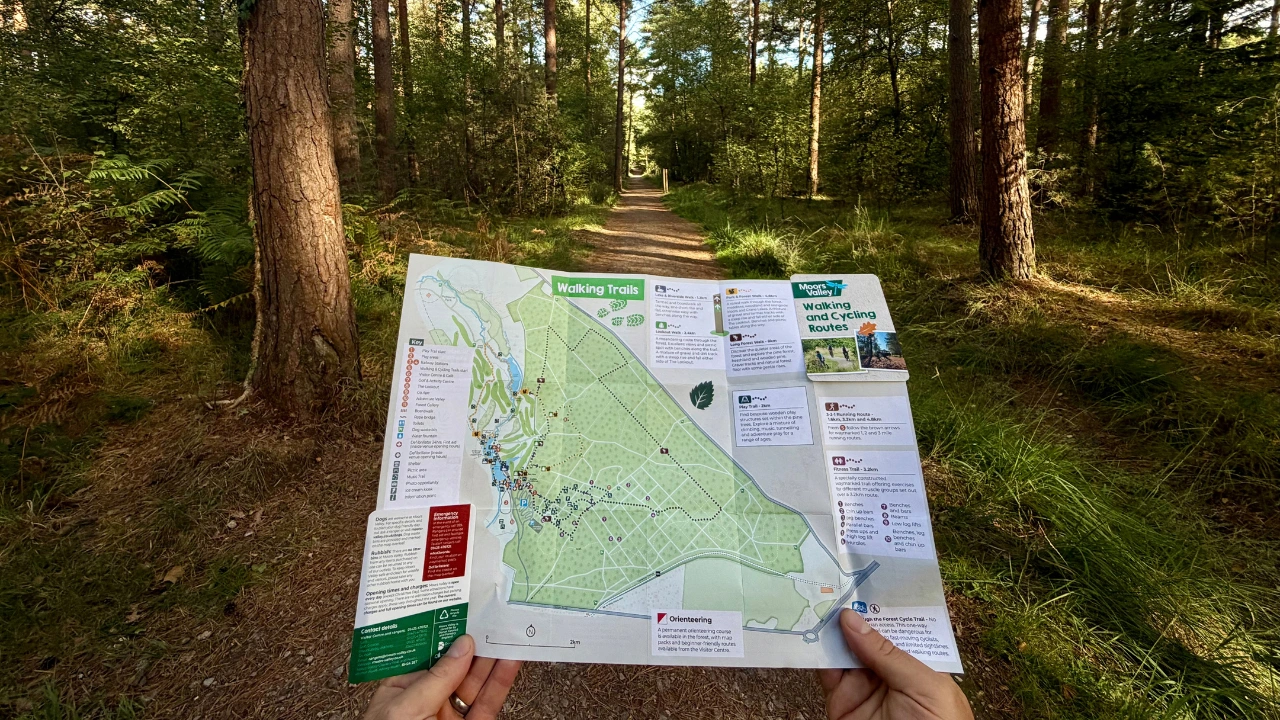 A person holds a walking trail map in a forest, standing on a dirt path surrounded by tall trees and green foliage. Sunlight filters through the leaves overhead.