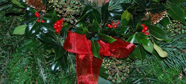 Christmas Countdown at Moors Valley Country Park (Nov 2012)