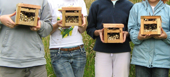 Build a Bug Hotel [Part 1] (20/02/19 (20th February 2019) – 10:30 to 11:30)