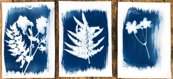 Cyanotype Printing (31/05/22 (31st May 2022) – 11:00 to 12:00)