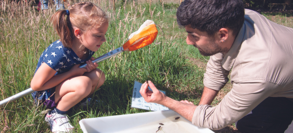 Pond dipping [Part 1] (30/05/23 (30th May 2023) – 10:45 to 11:15)