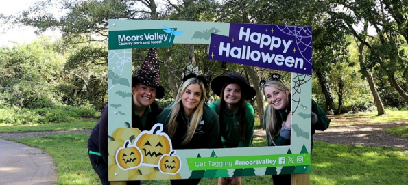 Halloween at Moors Valley