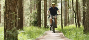 Man cycling on boardwalk in forest