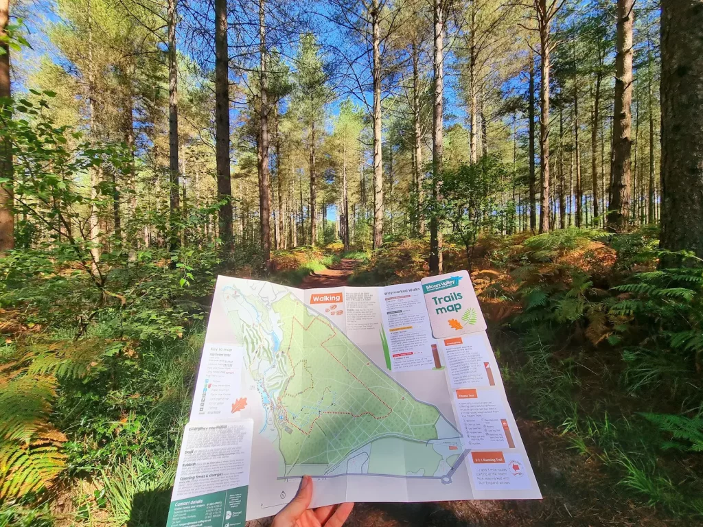 A person holds a trails map in the foreground, with a view of a dense forest with tall trees and a clear blue sky in the background.