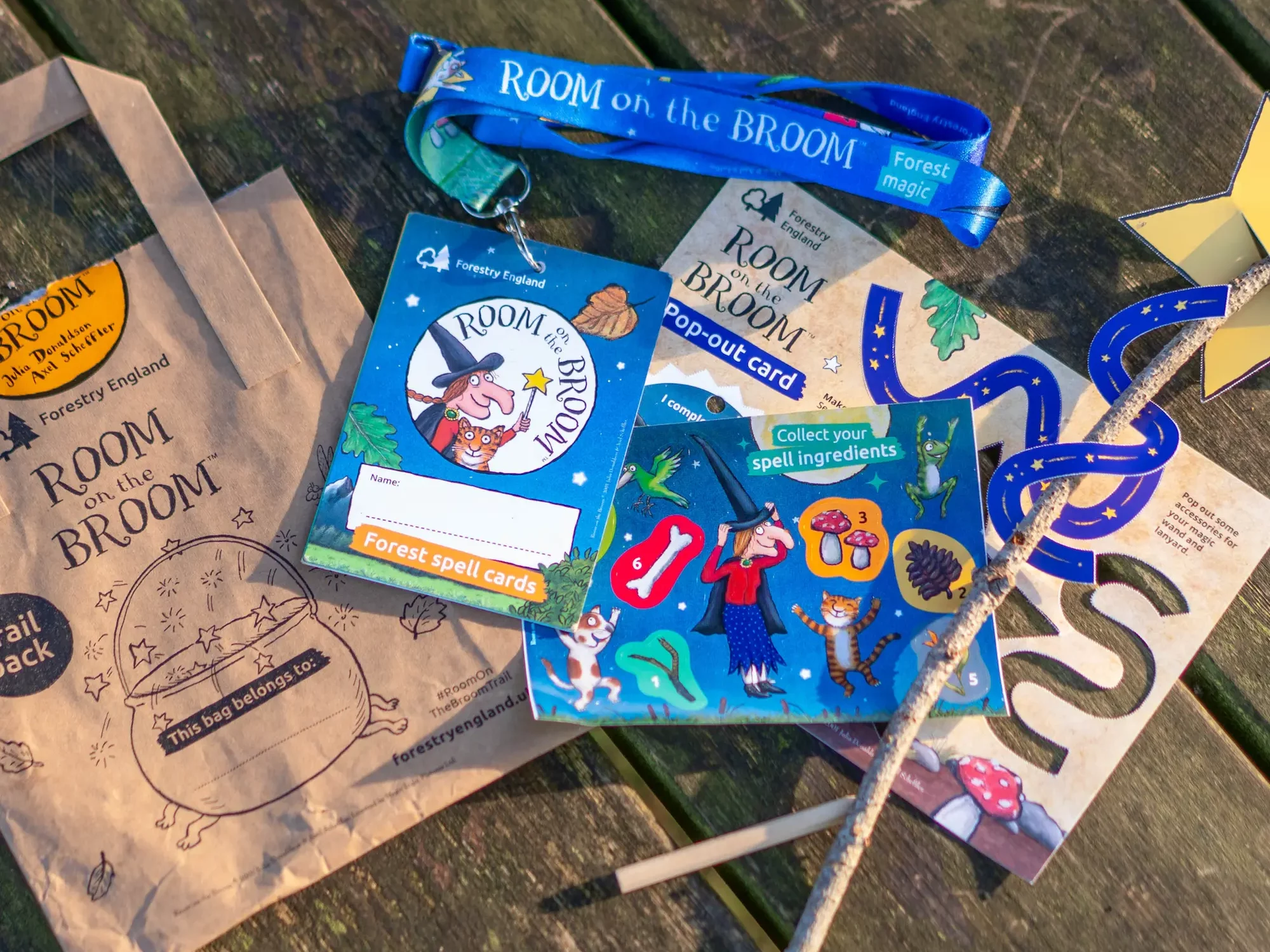 A spread of the Room on the Broom activity pack contents on a wooden table
