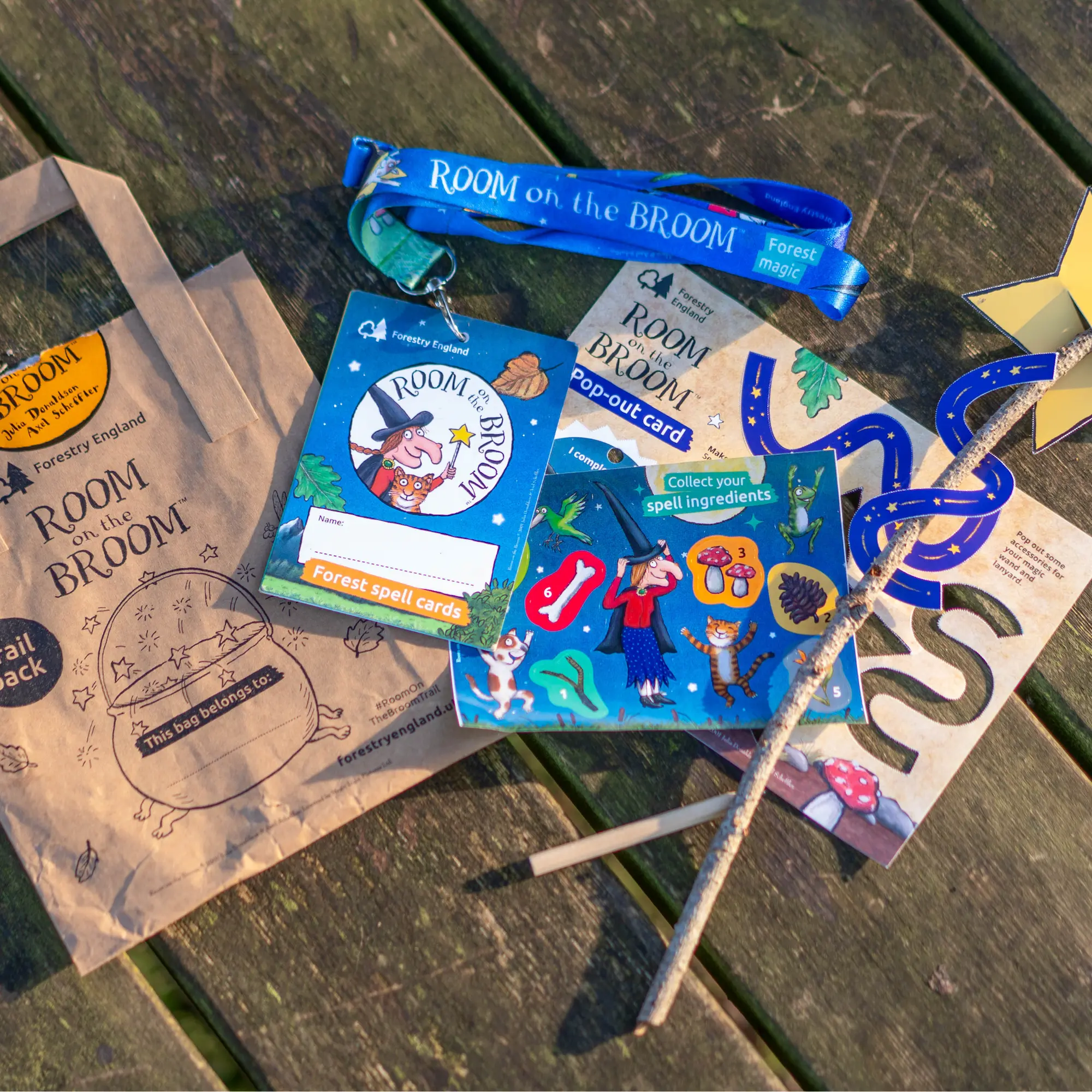 A spread of the Room on the Broom activity pack contents on a wooden table
