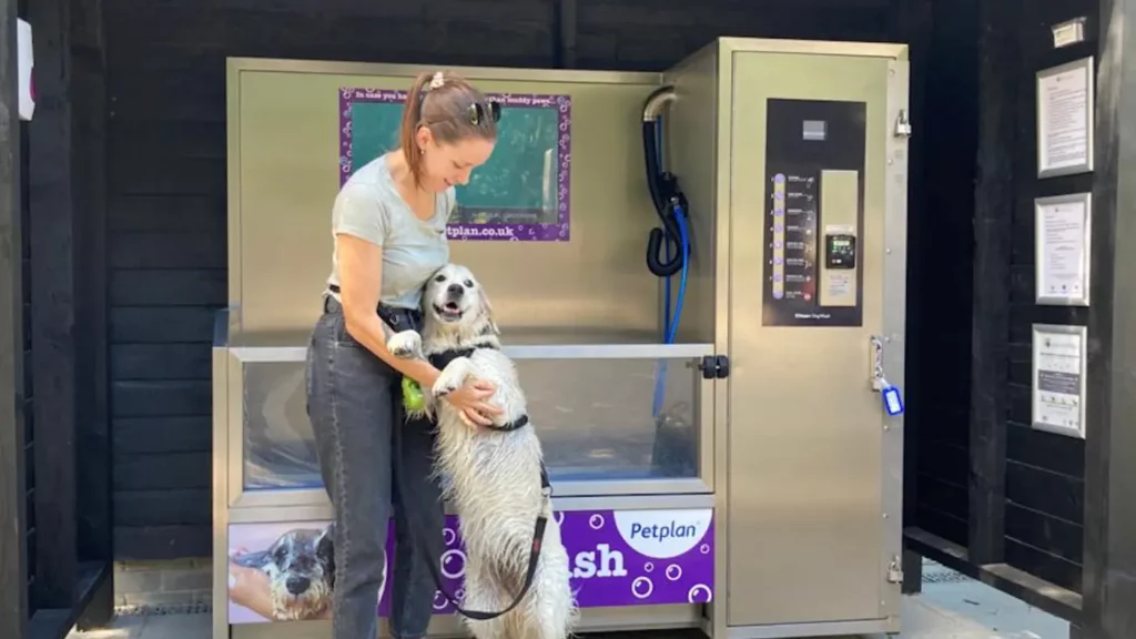 Dog Wash3 1