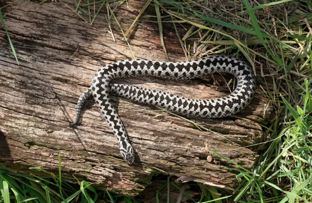 E newsletter pics (10)