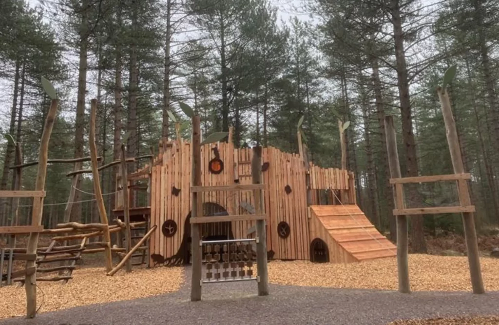 A wooden playground structure resembling the forest canopy stands among tall pine trees, with climbing frames, slides, and rope bridges on a ground covered in wood chippings.