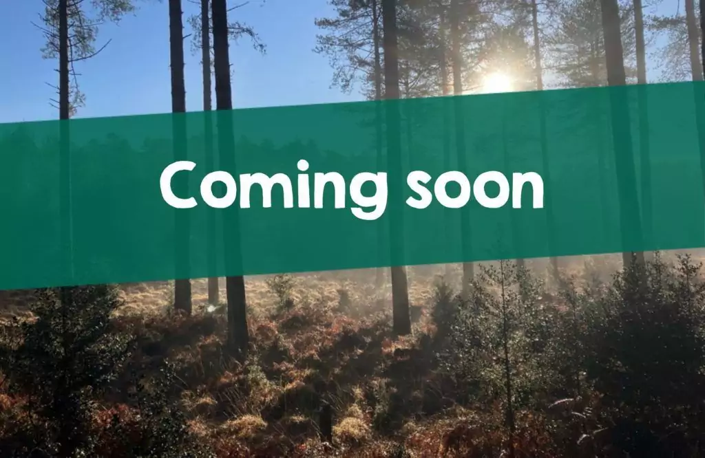 E newsletter pics (16)