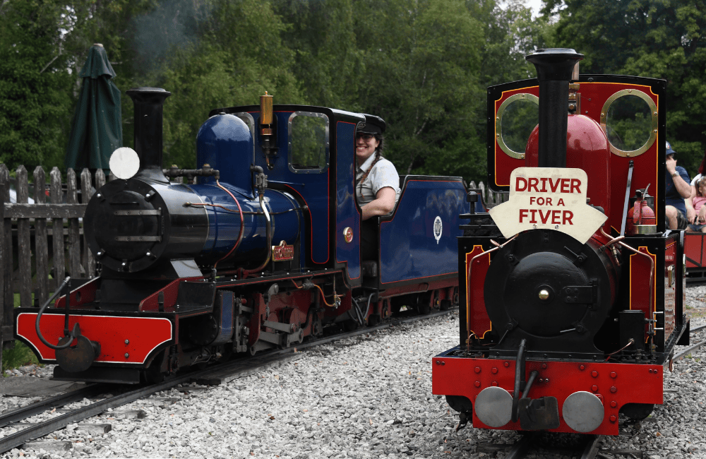 Steam Locomotives at Moors Valley Railway