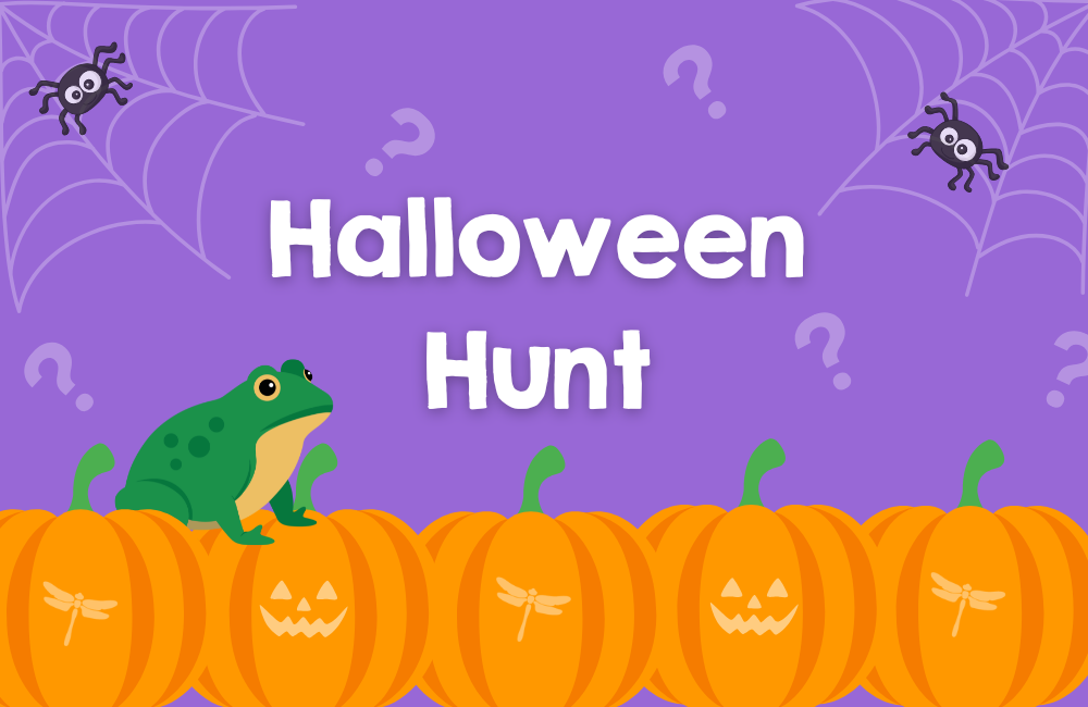 Halloween Hunt