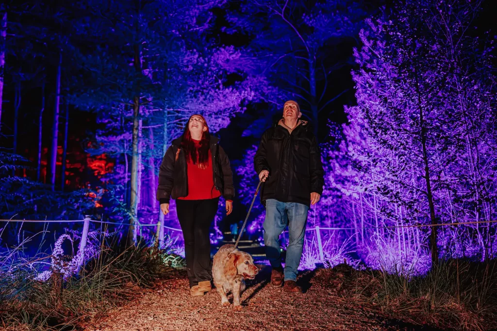 RG Live Halloween at Moors Valley 24th October 2025 by Luke Dyson LD3 1026 (1)