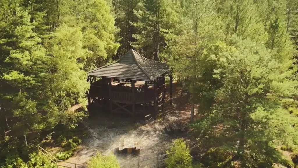 A wooden Lookout with a pointed roof is surrounded by dense green trees in a forested area at Moors Valley. A gravel path leads to the Lookout, and a small clearing with benches is visible in the foreground.