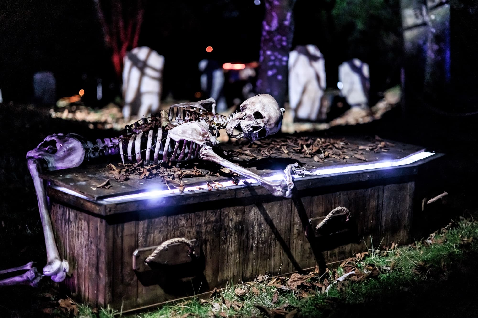 Skeleton Coffin (1)