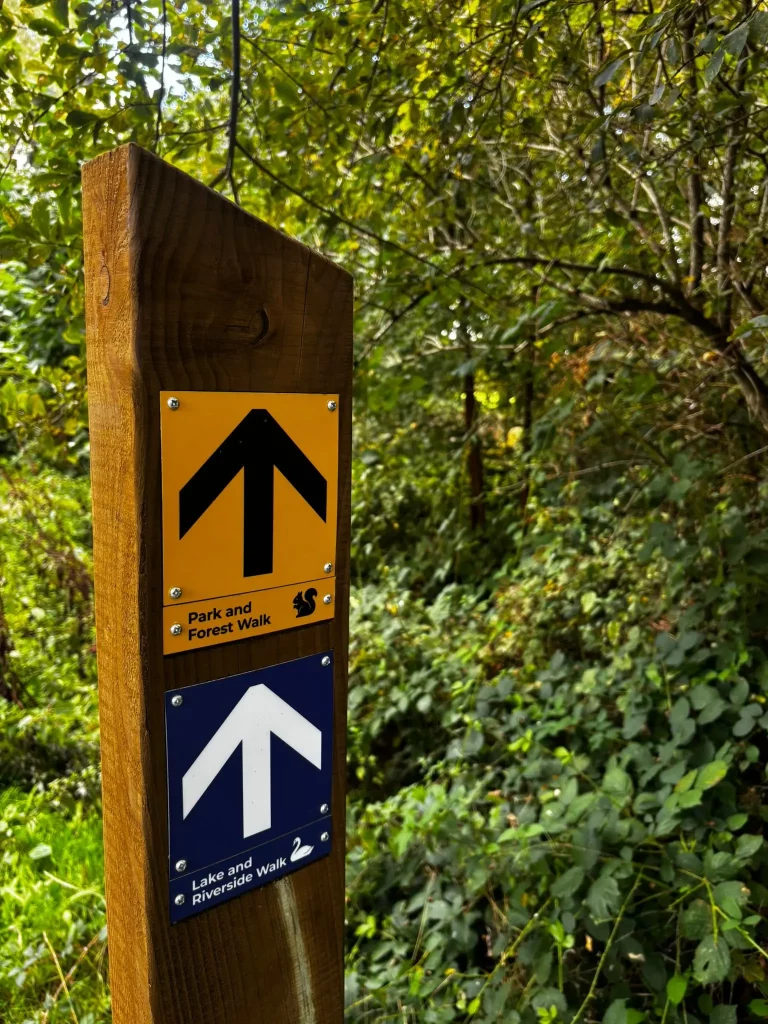 A wooden signpost in a green forest shows two arrows: a yellow sign for “Park and Forest Walk” above a blue sign for “Lake and Riverside Walk.” Both arrows point straight ahead.