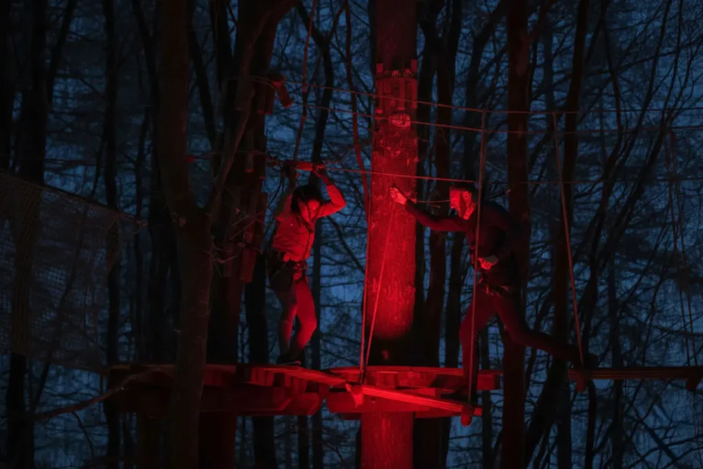 Go ape treetop dates crossing platform couple 